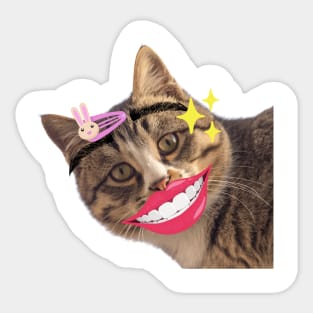 funny face of cat Sticker